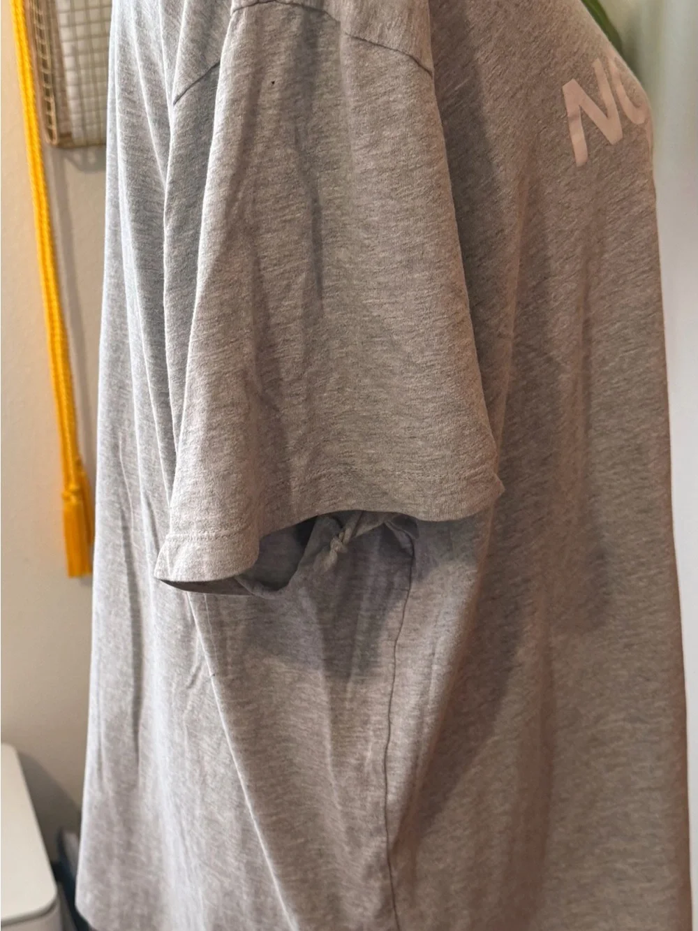 The North Face classic short